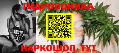 прущие крисы Кунгур