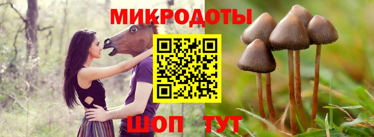 Псилоцибиновые грибы прущие грибы  Псилоцибиновые грибы мухоморы  Вход с VPN  Каменск-Уральский 